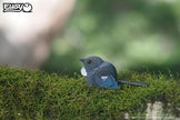 EUGY 3D Puzzel Tui