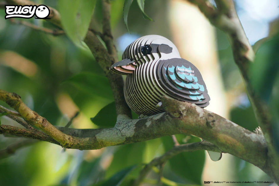 EUGY 3D-Modell – Vogel: Kookaburra