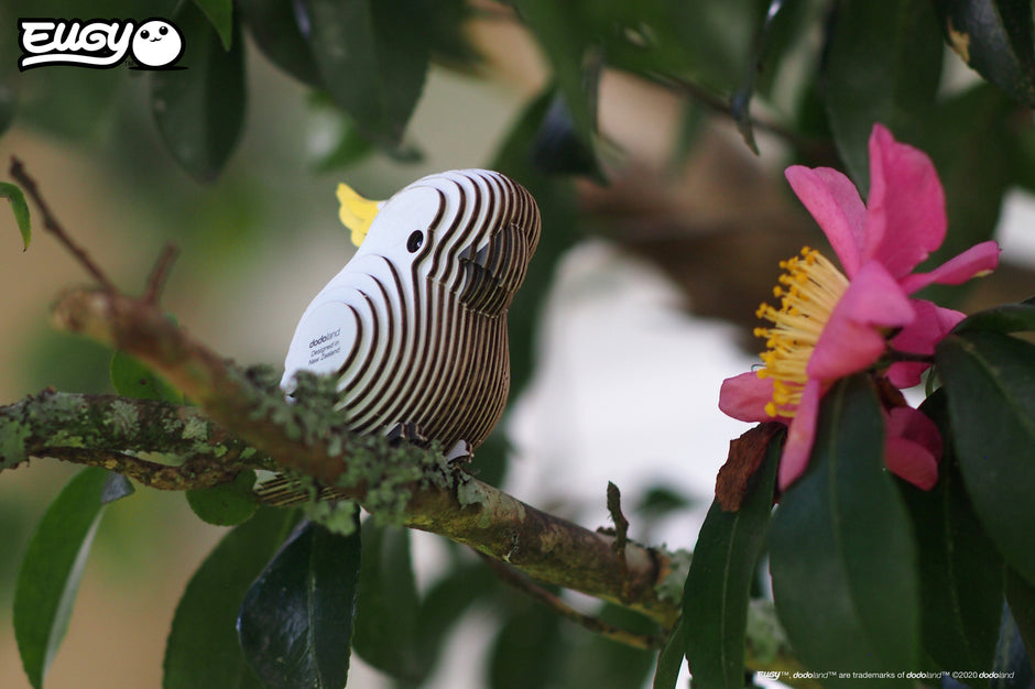 EUGY 3D Puzzle – Cockatoo