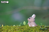 EUGY 3D Puzzle – Kangaroo