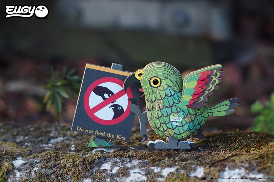 EUGY 3D Puzzel Kea