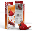 EUGY 3D Puzzel Kardinaal