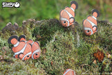EUGY 3D Puzzle – Clownfish