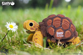 EUGY 3D Puzzel Schildpad