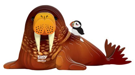 EUGY 3D Model – Zeedier: walrus