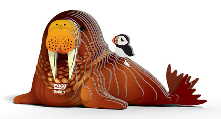 EUGY 3D Model – Zeedier: walrus