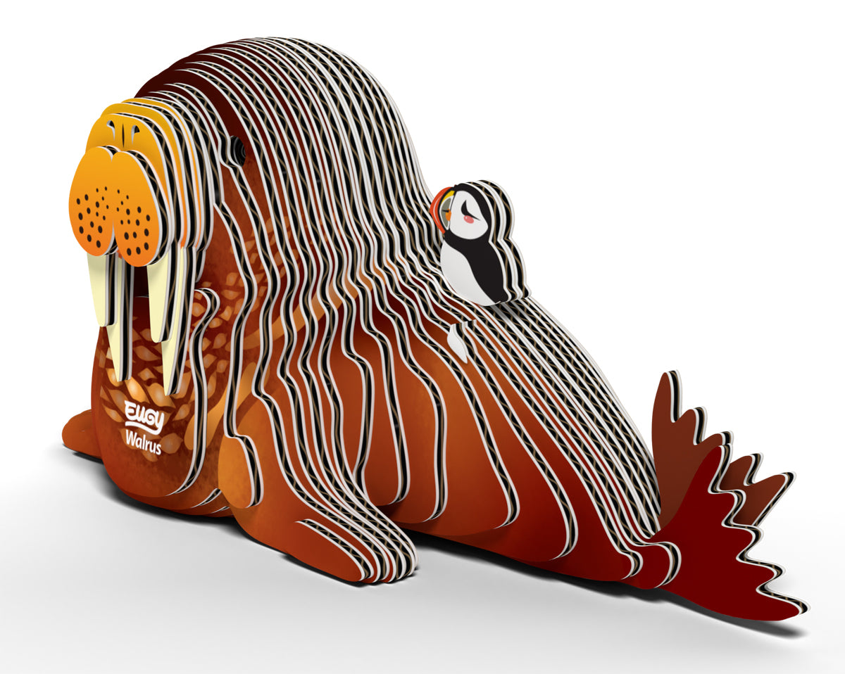 EUGY 3D Model – Zeedier: walrus