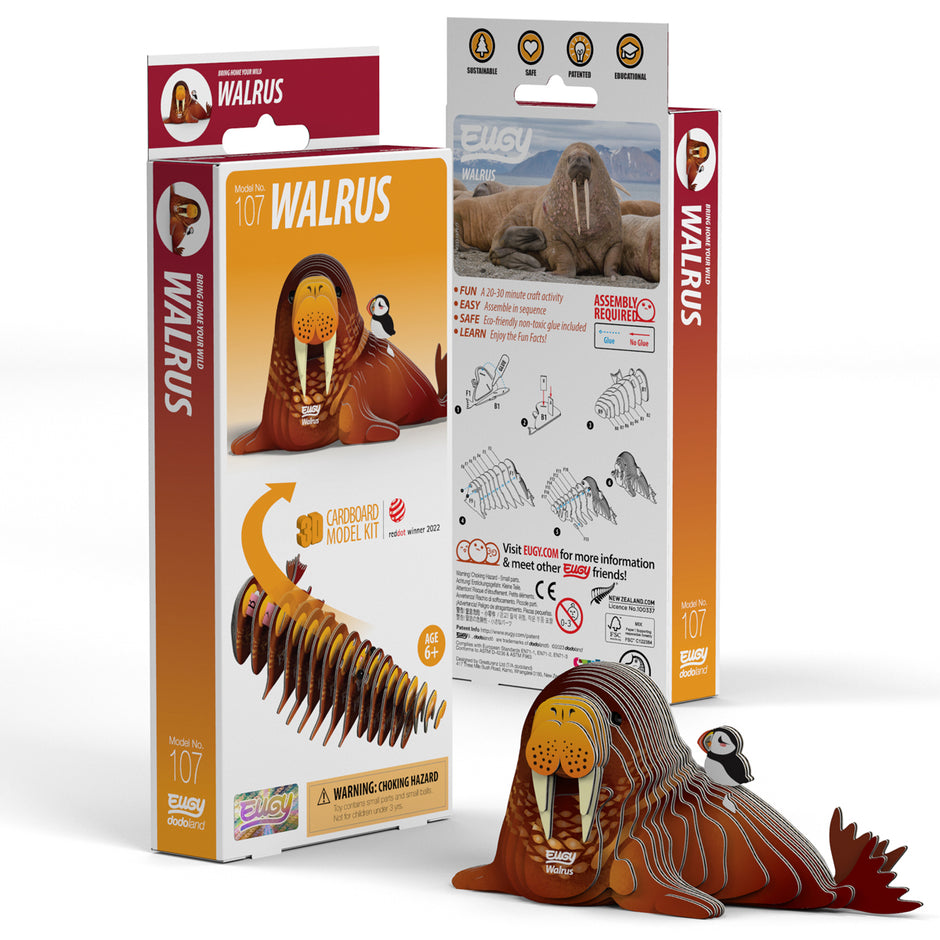 EUGY 3D Model – Zeedier: walrus