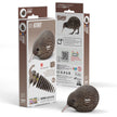 EUGY 3D-Modell – Vogel: Kiwi