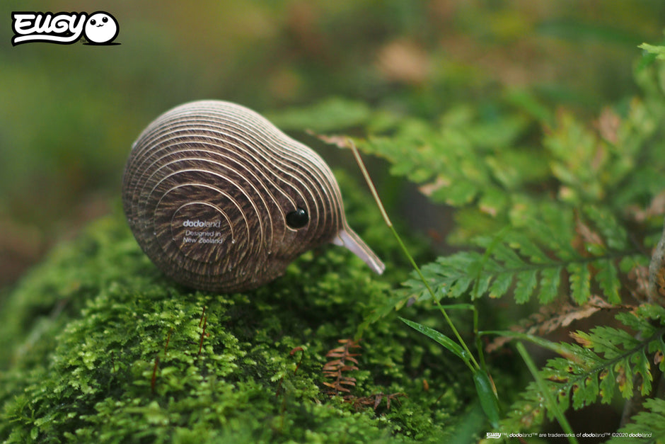 EUGY 3D Model – Vogel: kiwi