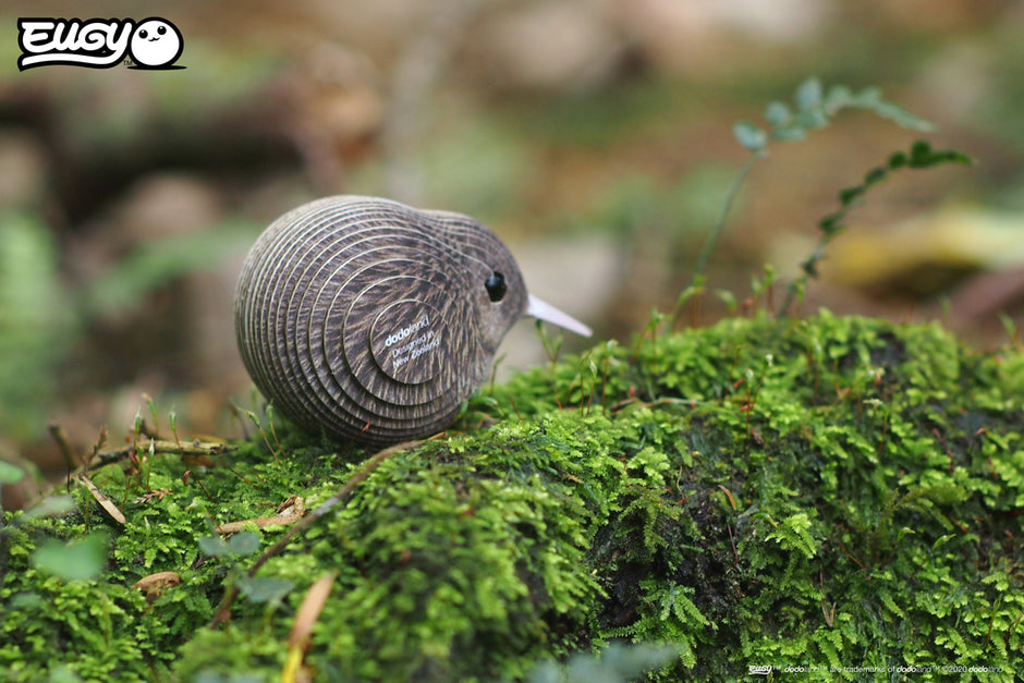 EUGY 3D Model – Vogel: kiwi