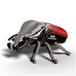 EUGY 3D Puzzel Goliathkever