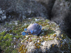 EUGY 3D Model – Sea creature: Anglerfish
