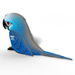 EUGY 3D Model – Bird: Spix's Macaw