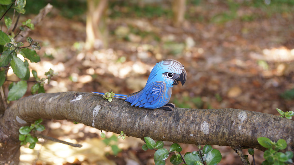 EUGY 3D Model – Bird: Spix's Macaw