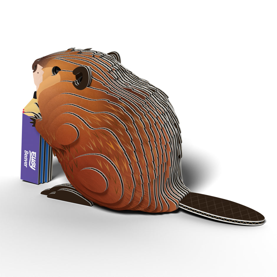 EUGY 3D Model – Wild Animal: Beaver