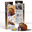 EUGY 3D Model – Wild Animal: Beaver
