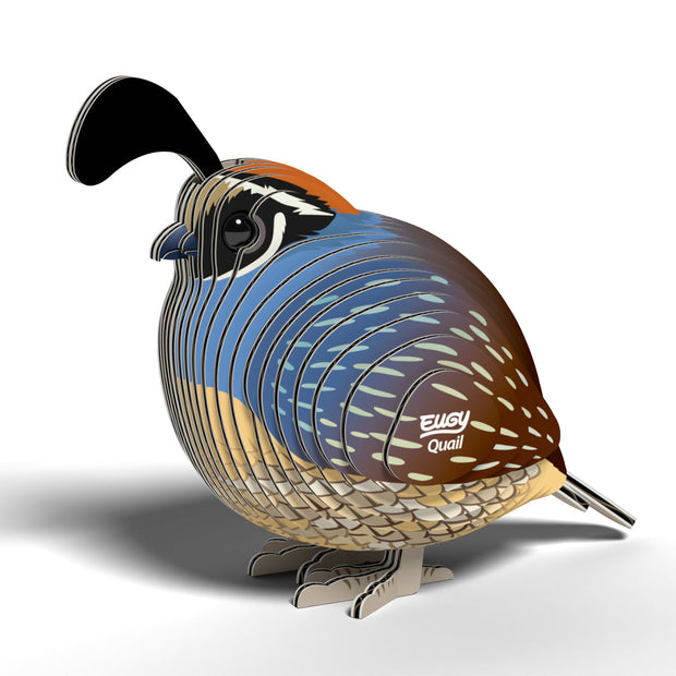 3D bouwmodel kwartel, EUGY