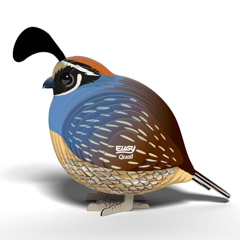 EUGY 3D Model – Bird: Quail