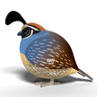 EUGY 3D Model – Bird: Quail