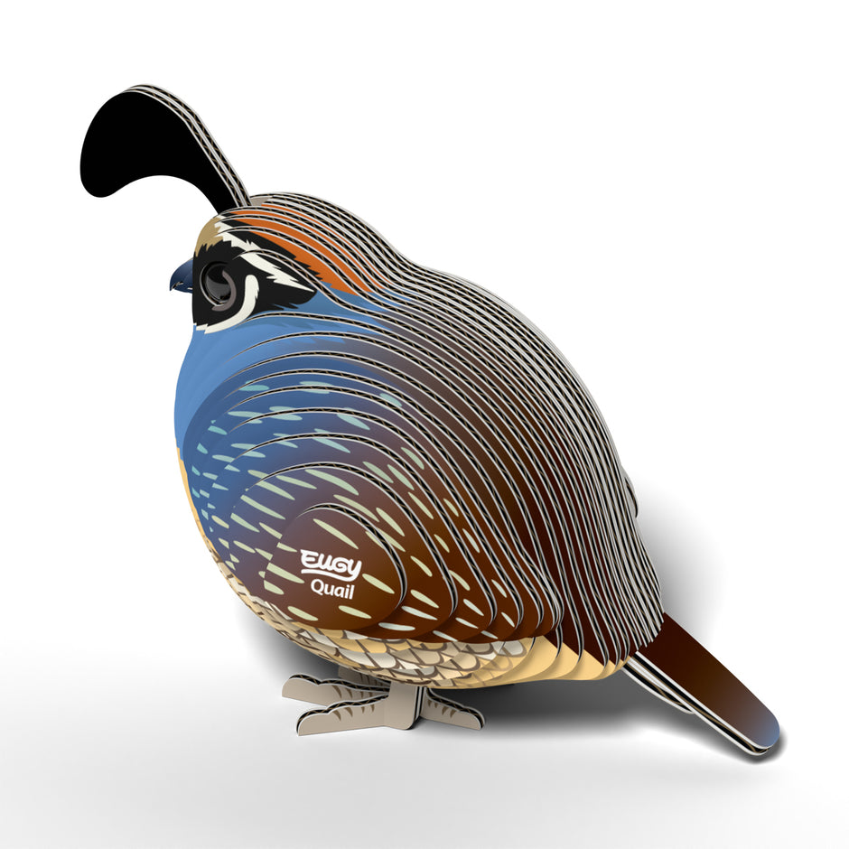 EUGY 3D Model – Bird: Quail