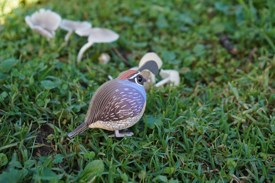 EUGY 3D Model – Bird: Quail