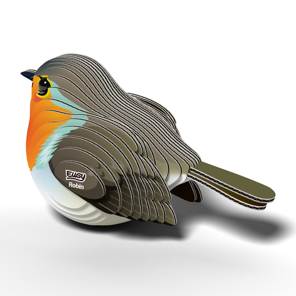 EUGY 3D-Modell – Vogel: Kiwi